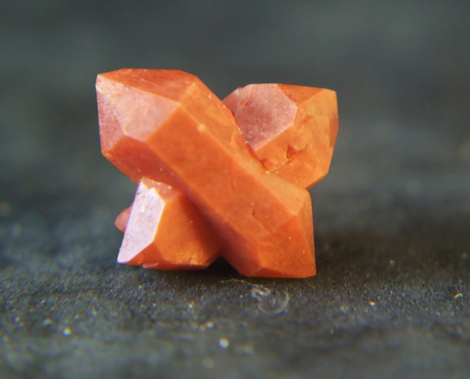 Cuarzo (variedad hematoideo / jacinto de compostela)
1.5 x 1.5 x 0.5 mm
(Autor: Jose Luis Jara)
