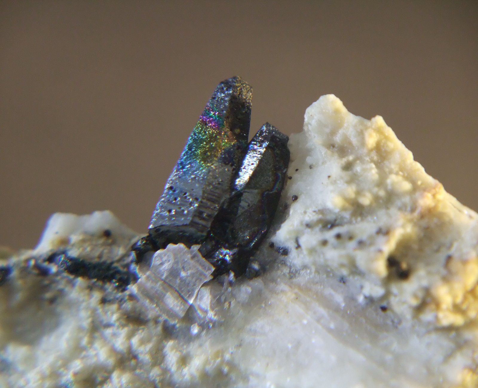 Hematites
Cristales de 10 mm.
(Autor: Jose Luis Jara)