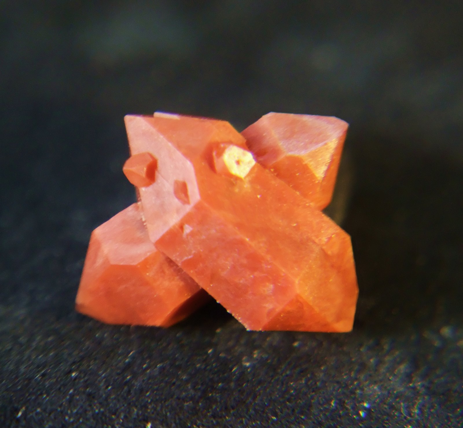 Cuarzo (variedad hematoideo / jacinto de compostela)
1.5 x 1.5 x 0.5 mm
(Autor: Jose Luis Jara)