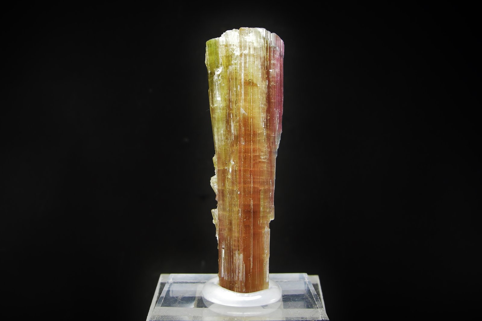 Elbaita
6.8 x 2 cm
(Autor: Diego Navarro)
