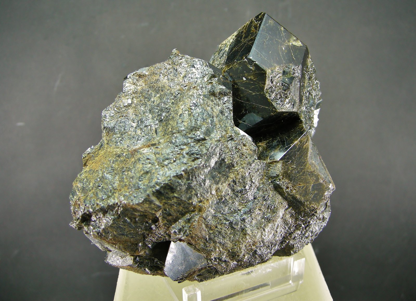 Granate
9 x 7.5 cm
(Autor: Diego Navarro)