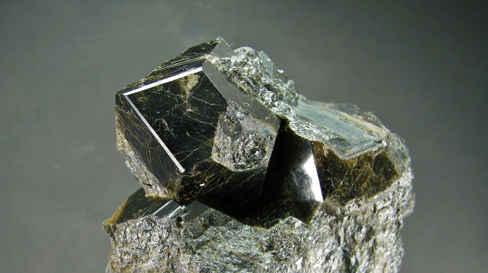 Granate
9 x 7.5 cm
(Autor: Diego Navarro)