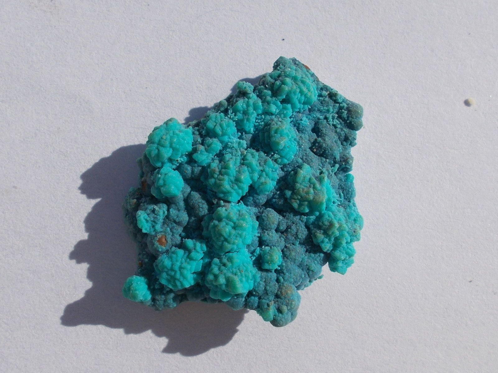 Crisocola
2.5cm x 0.3cm x 2cm
(Autor: srm13151)
