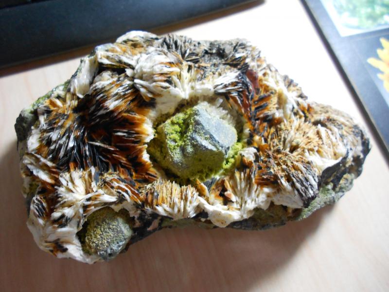Barita, galena, piromorfita, cerusita y wulfenita
16 x 8 x 5 cm.
(Autor: Carles Rubio)