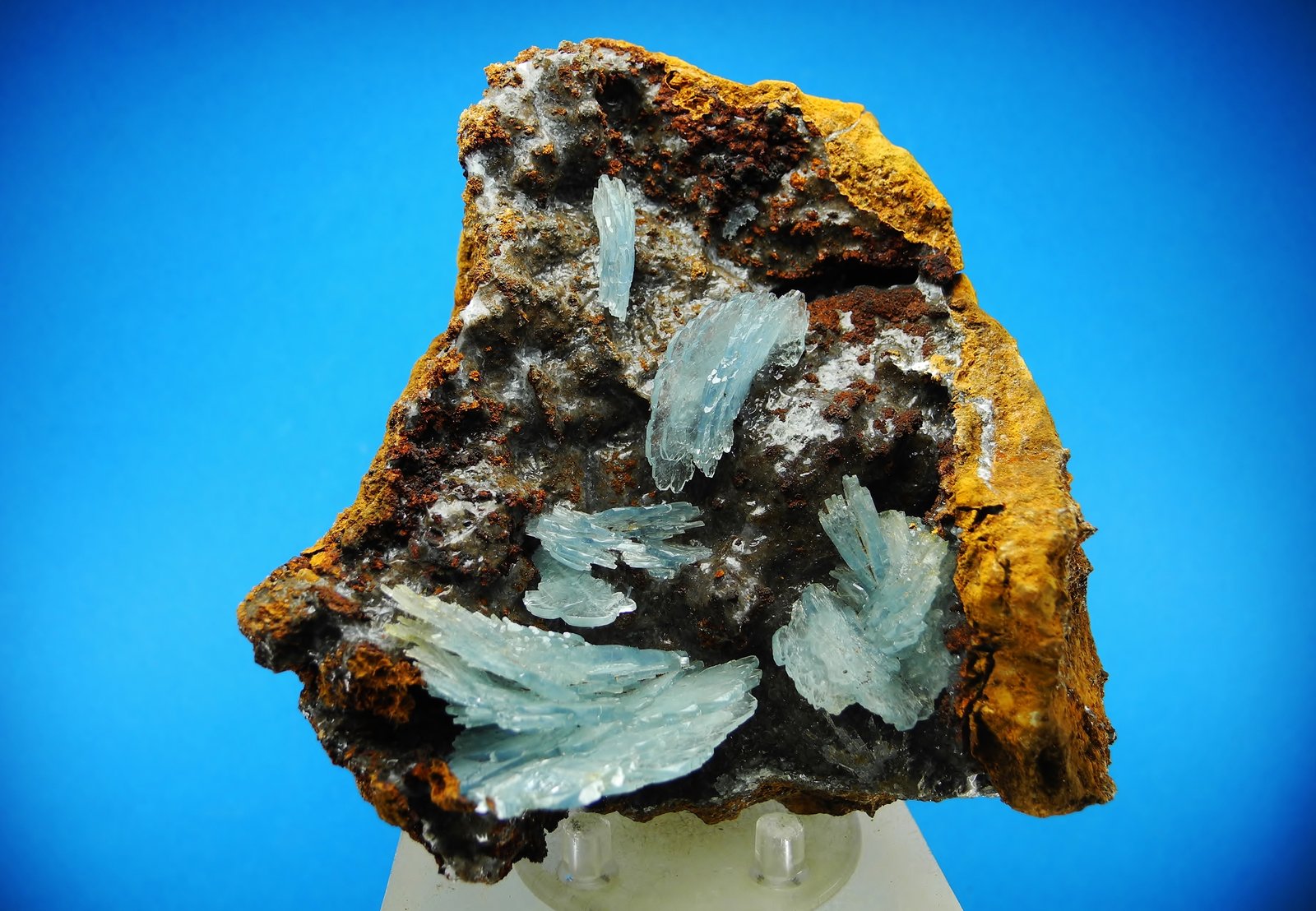Barita
11 x 10 cm
(Autor: Diego Navarro)