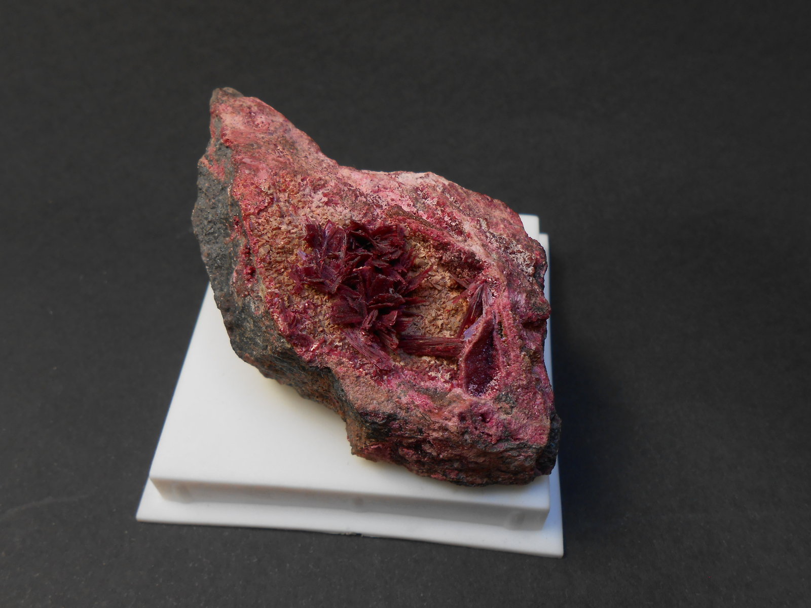 Eritrina
7,5 x 4,5 x 3 cm
(Autor: Antonio Alcaide)