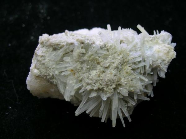 Celestina<br />Lomas de La Beata