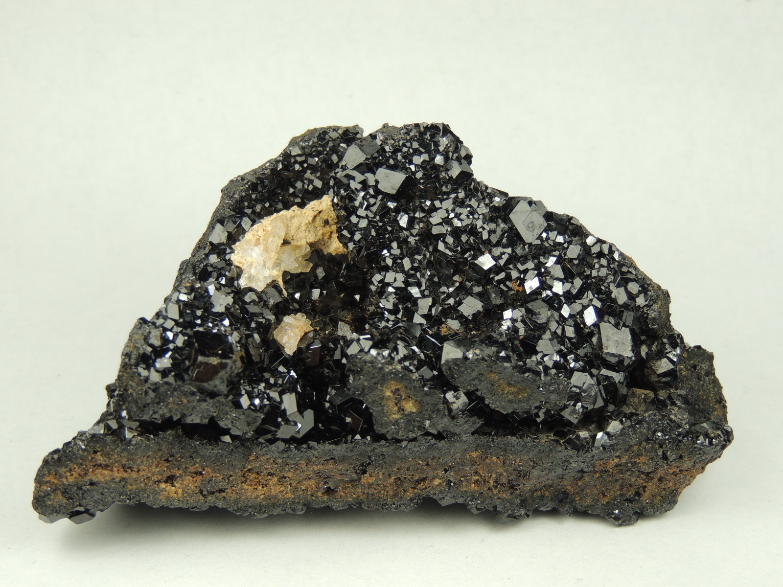 Andradita (variedad melanita)
10.3 x 5.6 x 5.2 centimetros
(Autor: Ricardo Melendez)