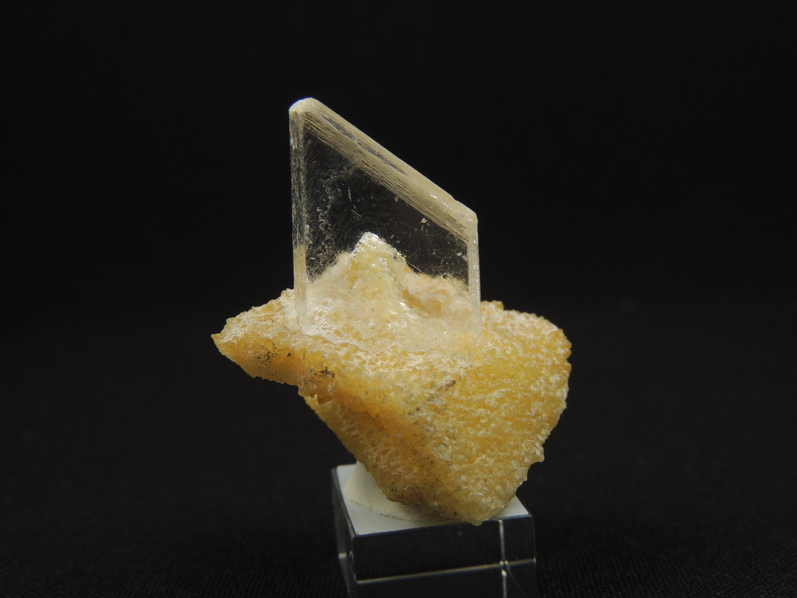 Yeso
3.4 x 3 x 3 centimetros
(Autor: Ricardo Melendez)