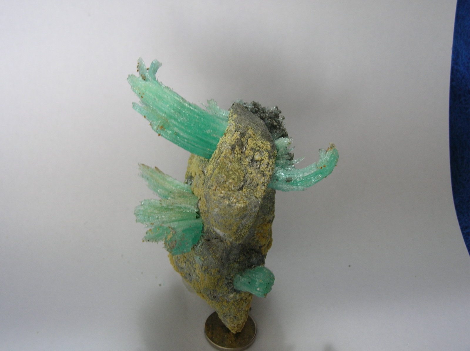 Epsomita
10 x 7,5 cm
(Autor: Pedro Conesa)