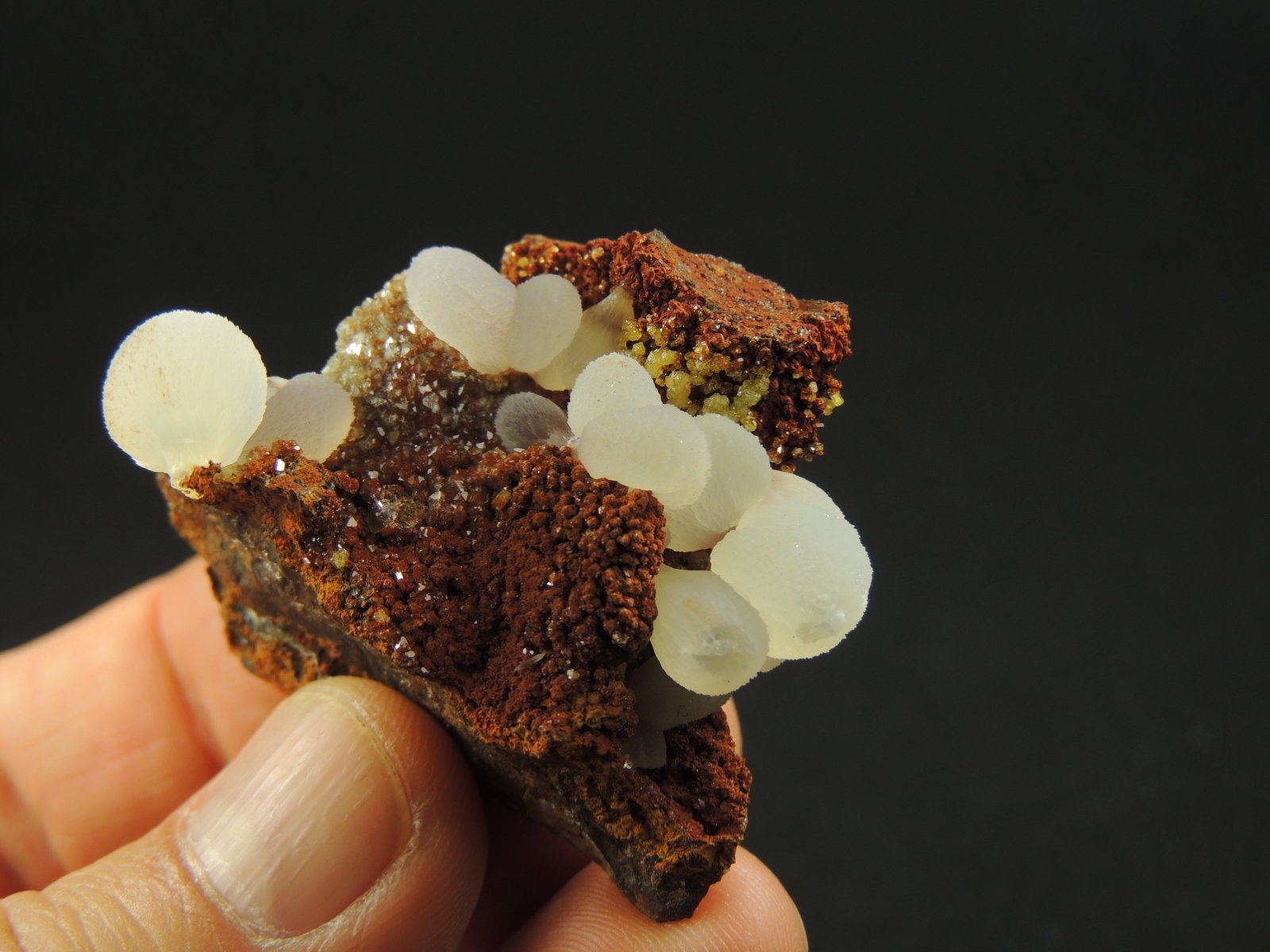 Adamita
3.7 x 3.2 x 2.6 centimetros
(Autor: Ricardo Melendez)