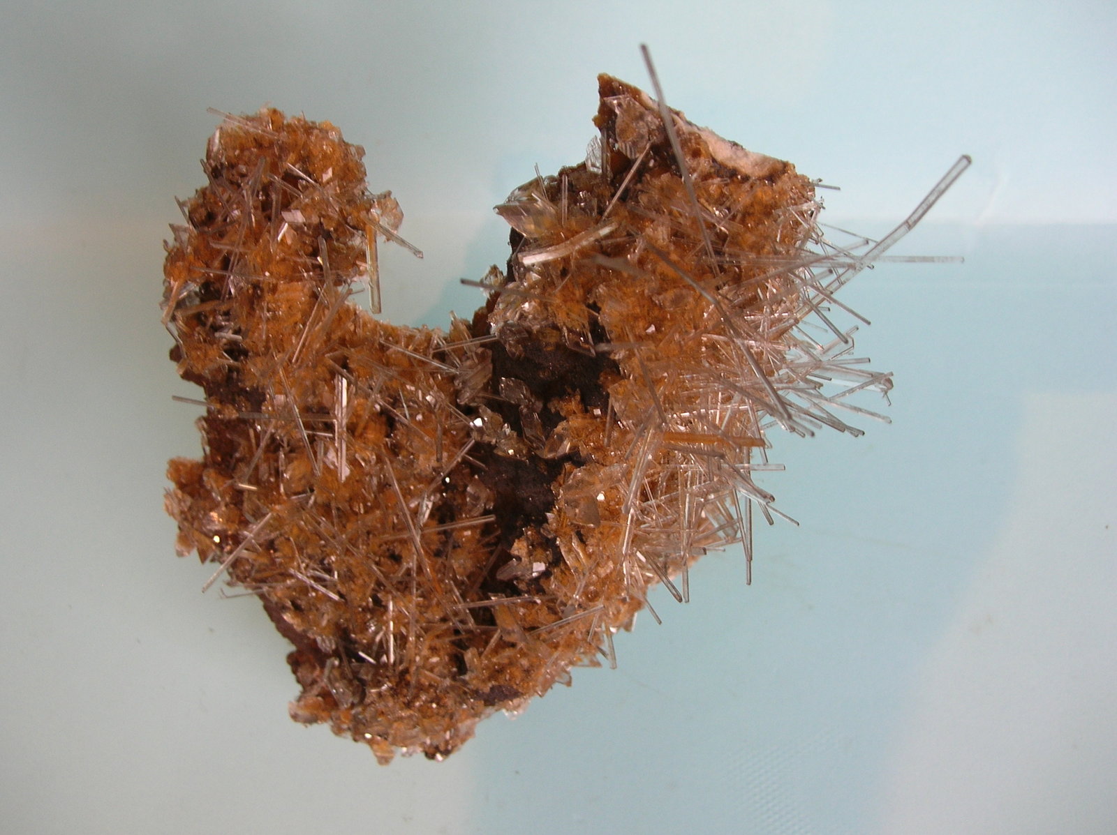 Yeso
15 x 11 cm
(Autor: Pedro Conesa)
