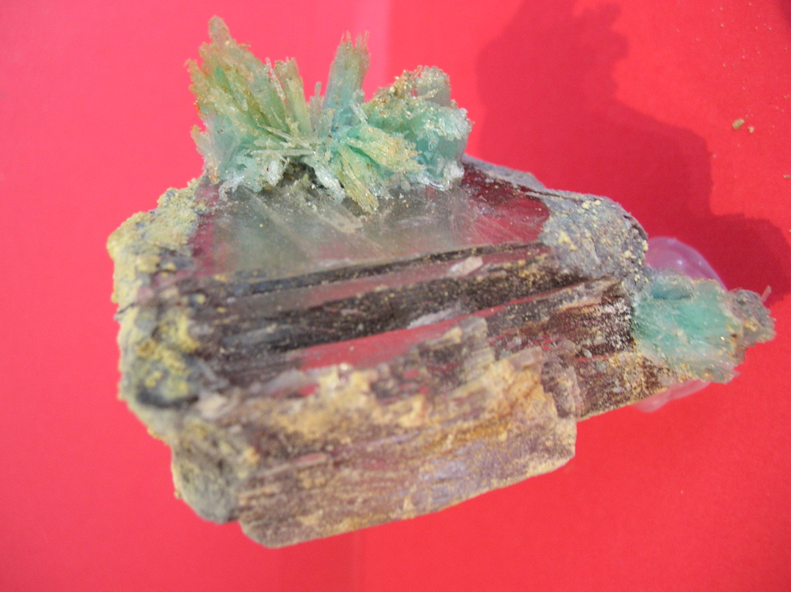 Epsomita
7 x 5 cm
(Autor: Pedro Conesa)