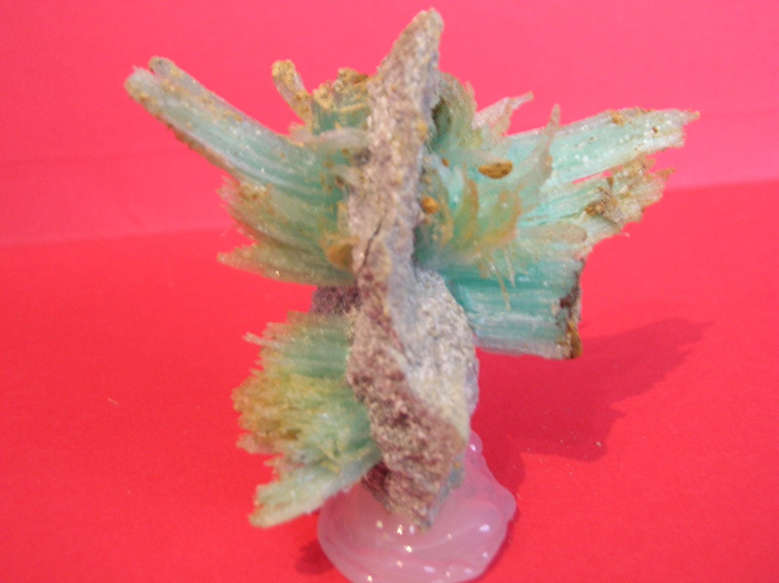 Epsomita
7 x 6 cm
(Autor: Pedro Conesa)