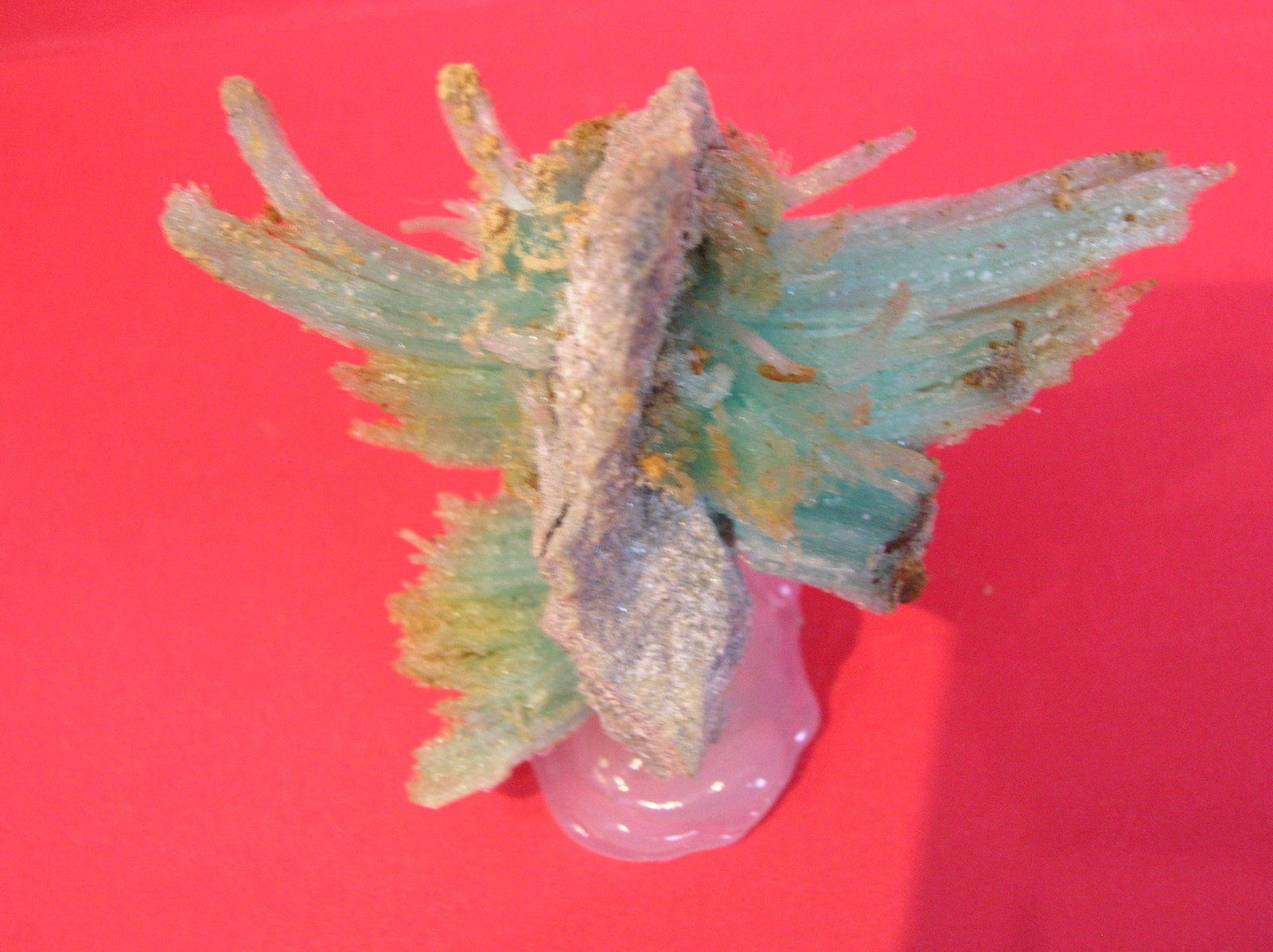 Epsomita
7 x 6 cm
(Autor: Pedro Conesa)