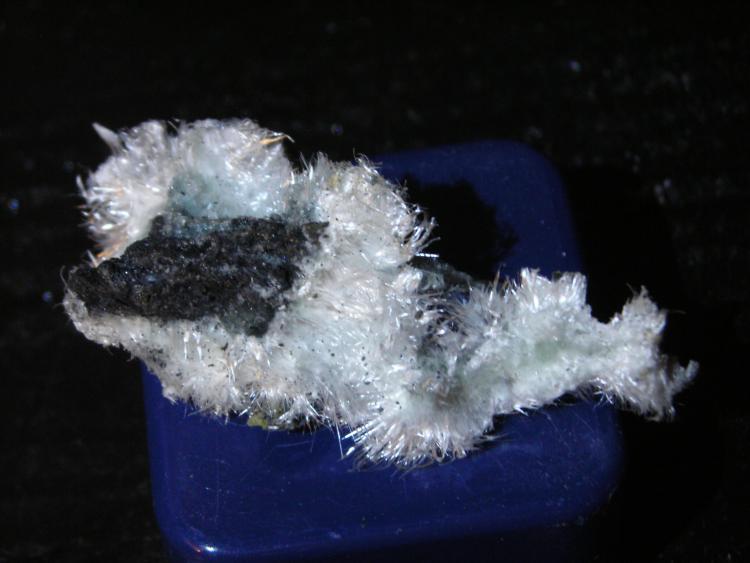 (Autor: marcel)