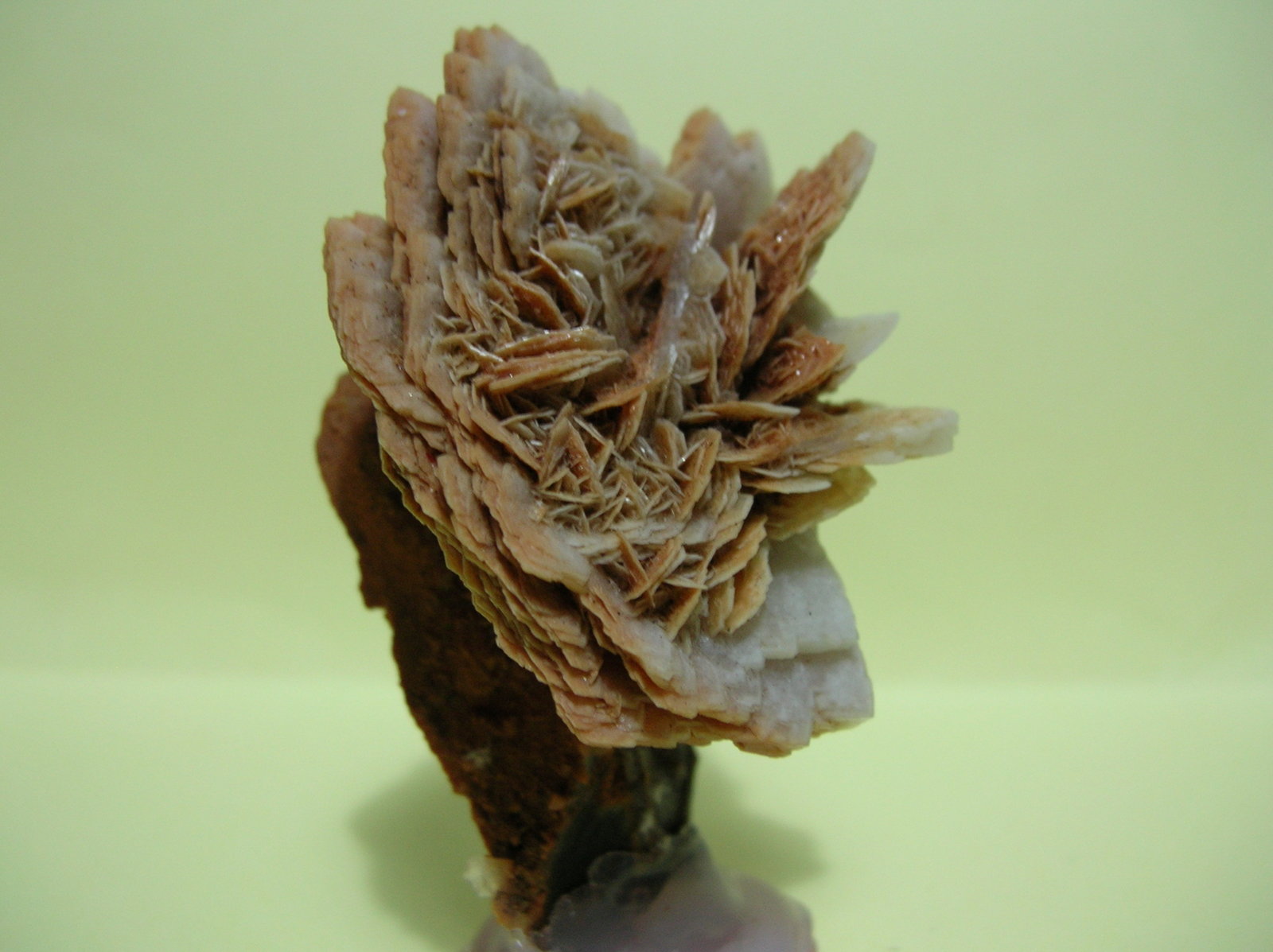 Barita
6 x 4 cm
(Autor: Pedro Conesa)