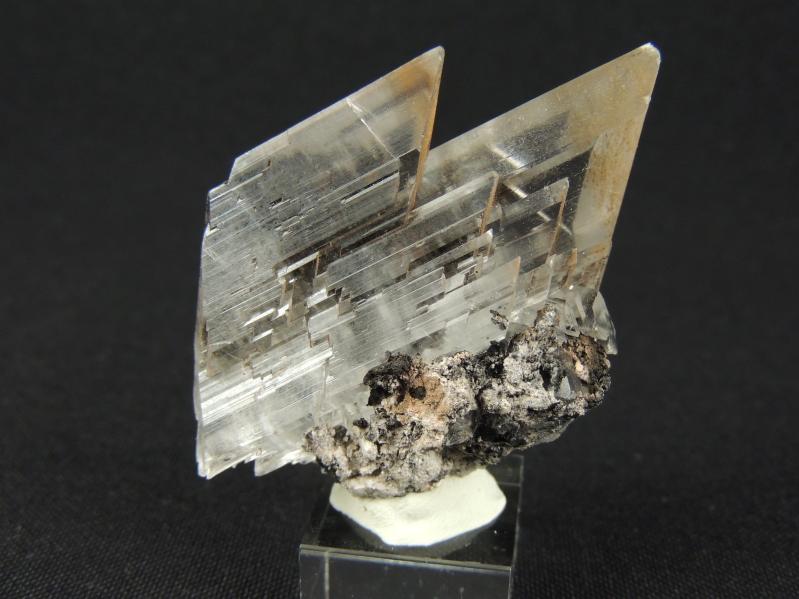 Yeso (variedad selenita)
5.5 x 4 x 2.4 centimetros
(Autor: Ricardo Melendez)
