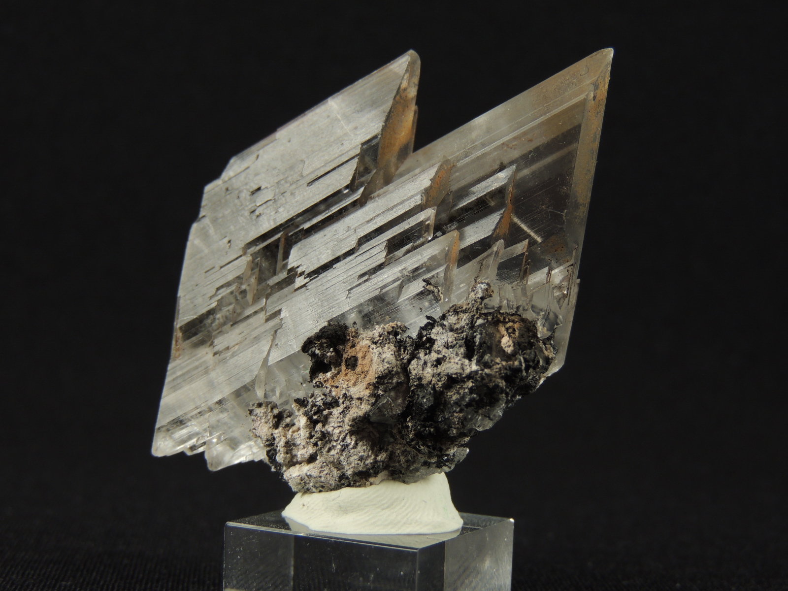 Yeso (variedad selenita)
5.5 x 4 x 2.4 centimetros
(Autor: Ricardo Melendez)
