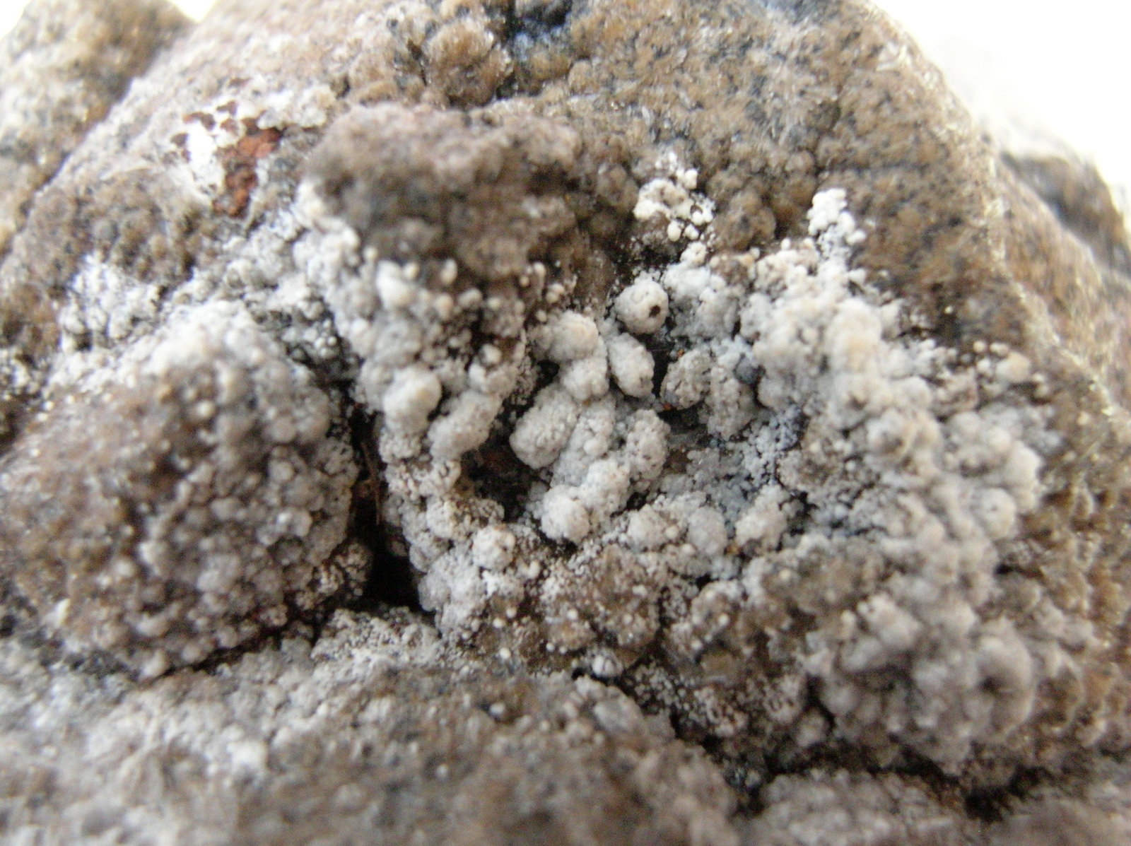 Hemimorfita
16 x 8,5 cm
(Autor: Pedro Conesa)
