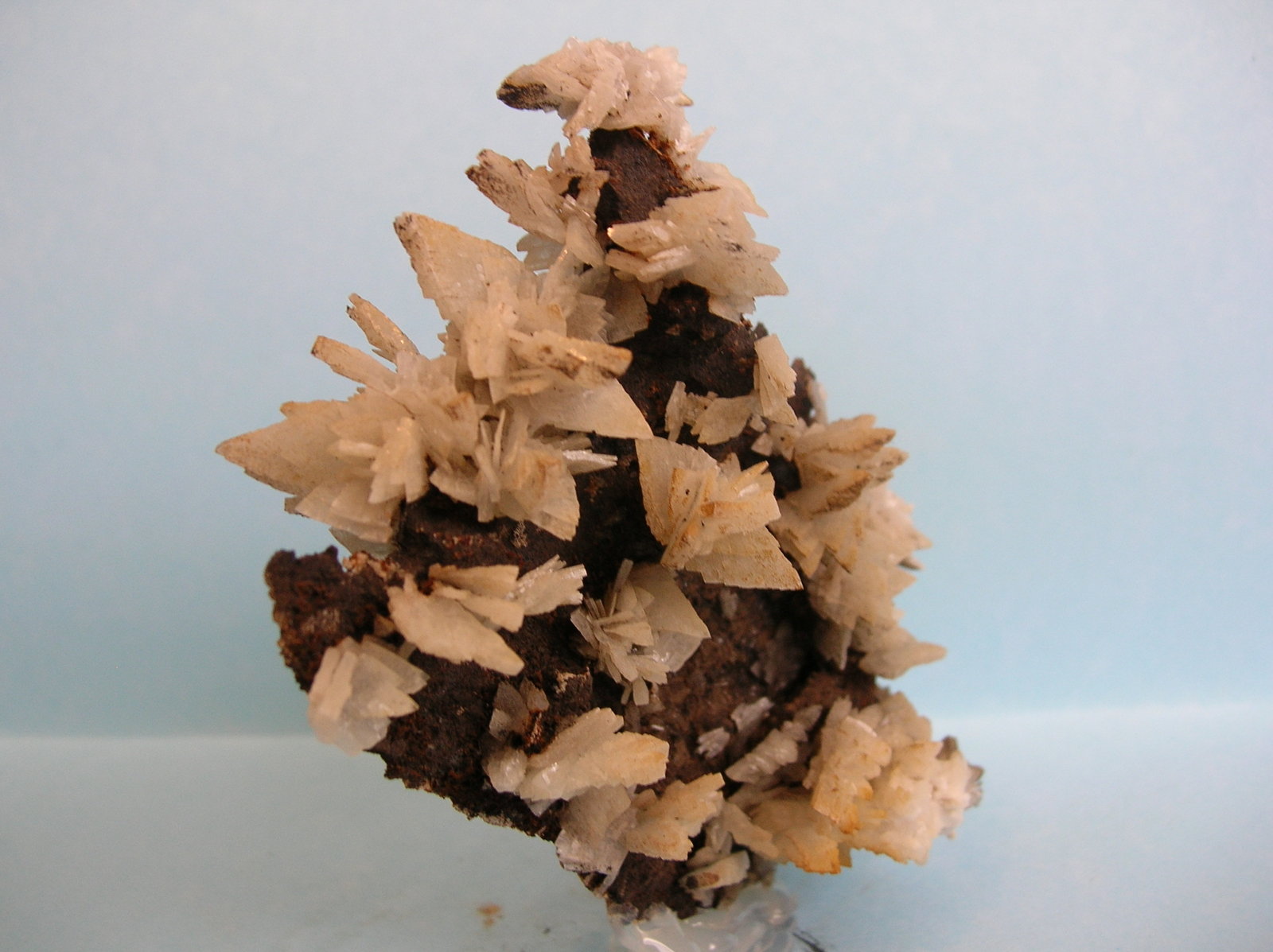 Baritina
9 x 8,5 cm
(Autor: Pedro Conesa)