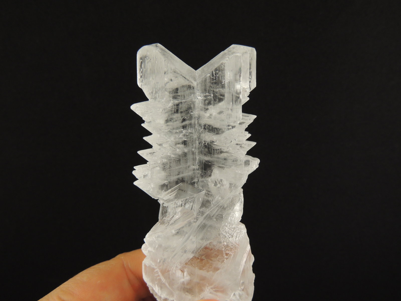Yeso (variedad selenita)
11.5 x 4.8 x 2.9 centimetros
(Autor: Ricardo Melendez)