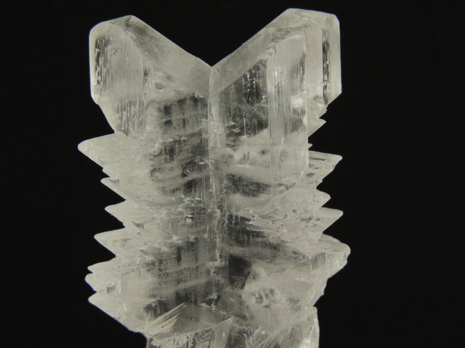 Yeso (variedad selenita)
11.5 x 4.8 x 2.9 centimetros
(Autor: Ricardo Melendez)