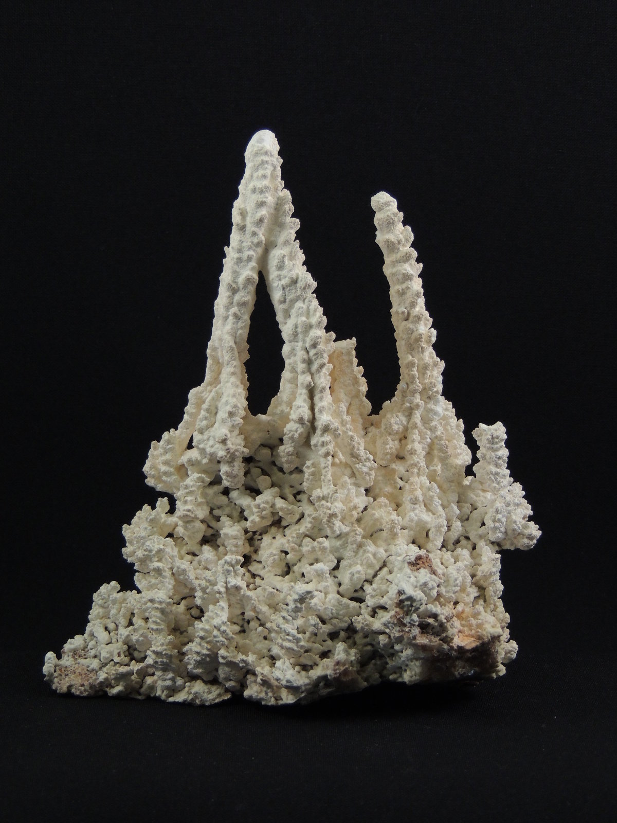 Aragonito
14 x 8.9 x 15.5 centimetros
(Autor: Ricardo Melendez)