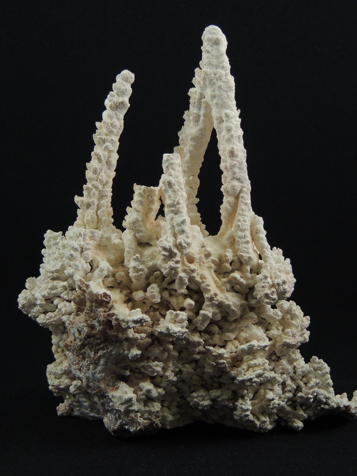 Aragonito
14 x 8.9 x 15.5 centimetros
(Autor: Ricardo Melendez)