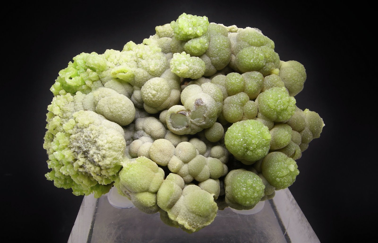 Piromorfita
9.8 x 7.8 cm
(Autor: Diego Navarro)