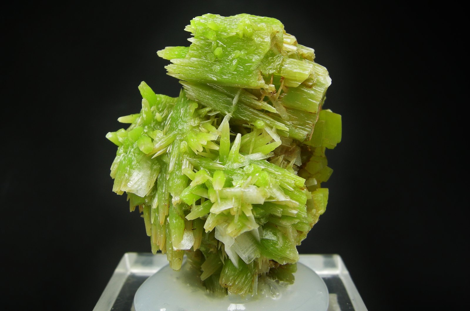 Piromorfita, Cerusita
4.4 x 3.5 cm
(Autor: Diego Navarro)