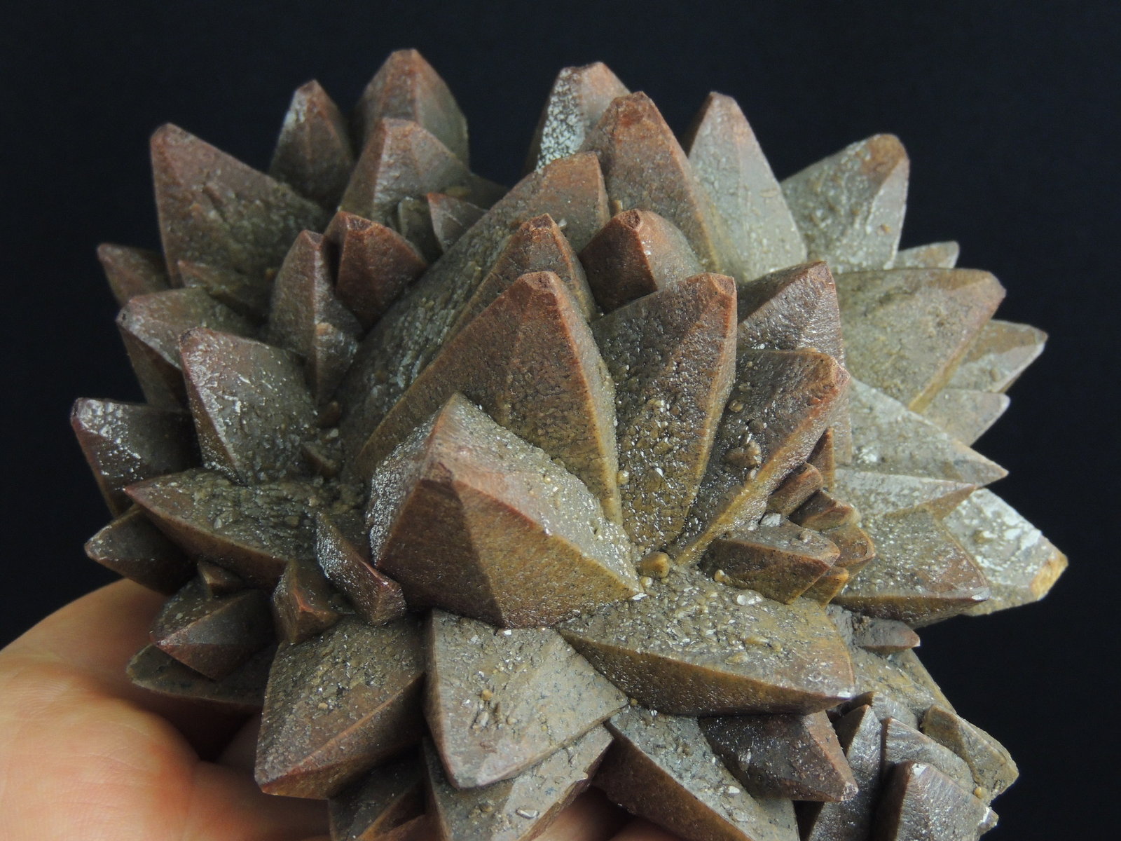 Calcita
11 x 10 x 5.5 centimetros
(Autor: Ricardo Melendez)