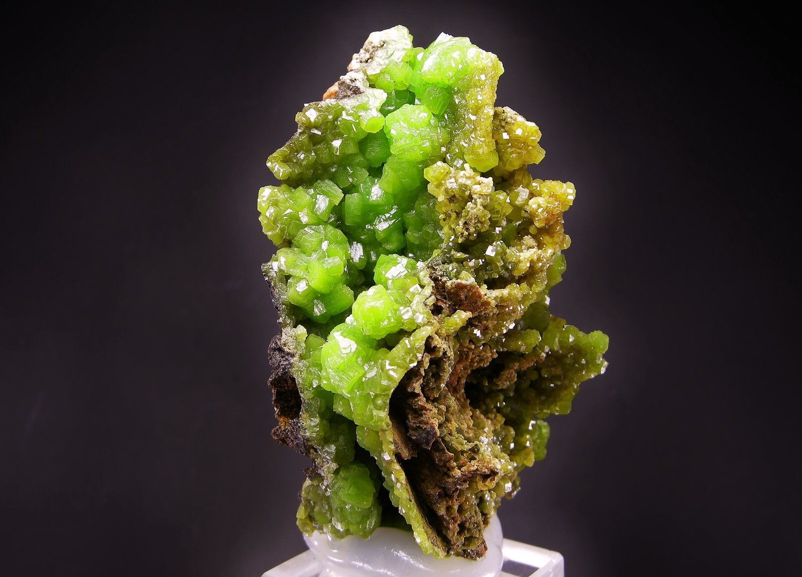 Piromorfita
7 x 4 cm
(Autor: Diego Navarro)