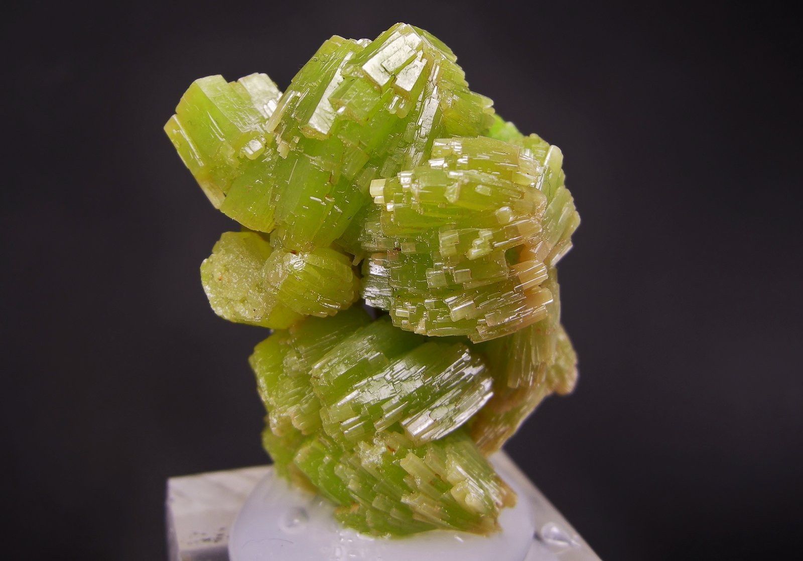 Piromorfita
3.5 x 2.7 cm
(Autor: Diego Navarro)