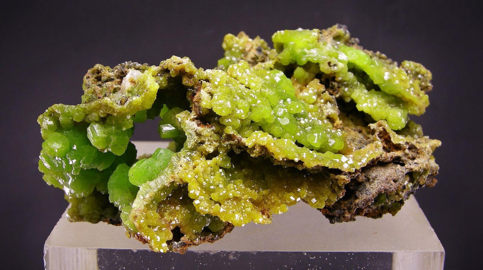 Piromorfita
8.2 x 5.6 cm
(Autor: Diego Navarro)