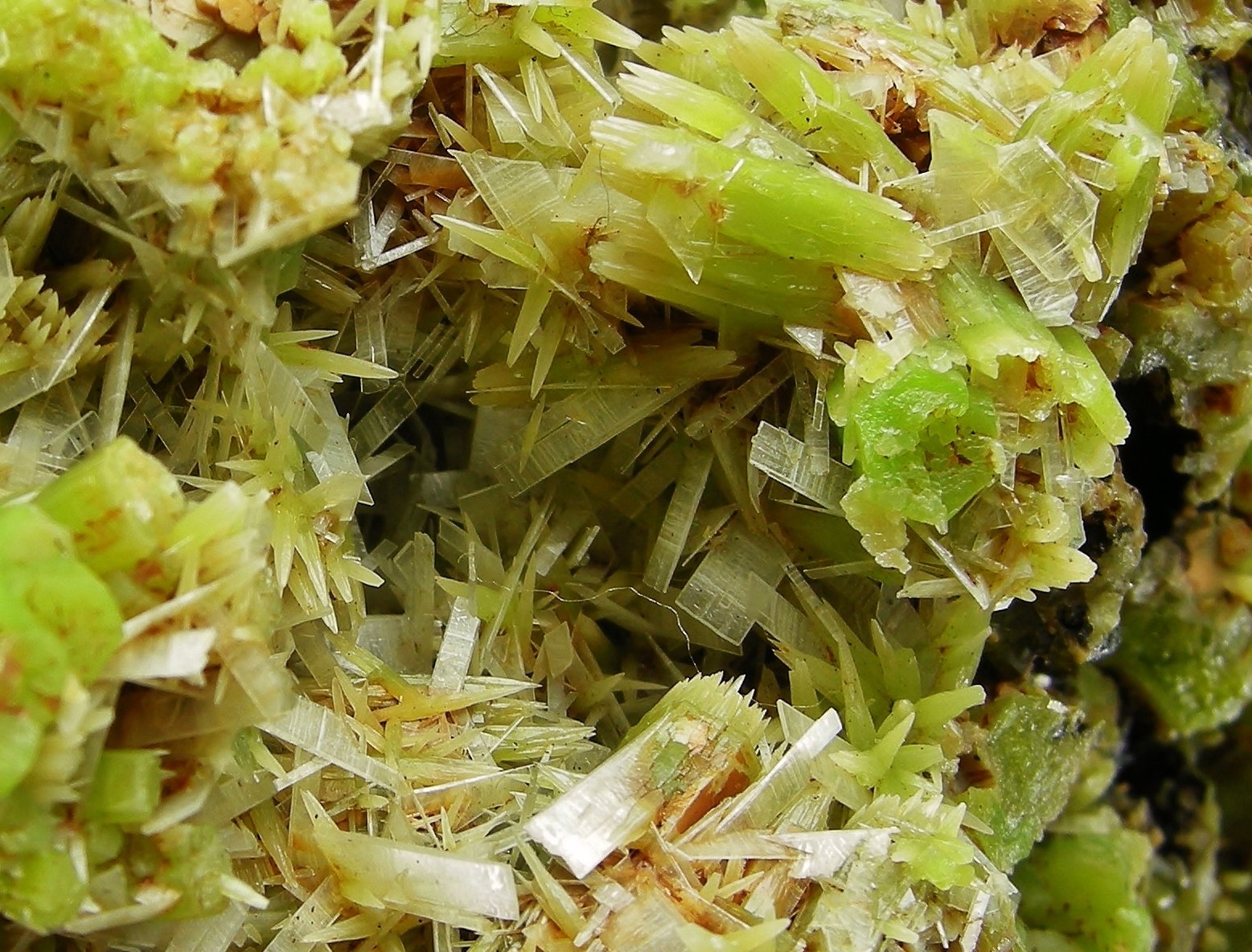 Piromorfita, Cerusita
(Autor: Diego Navarro)