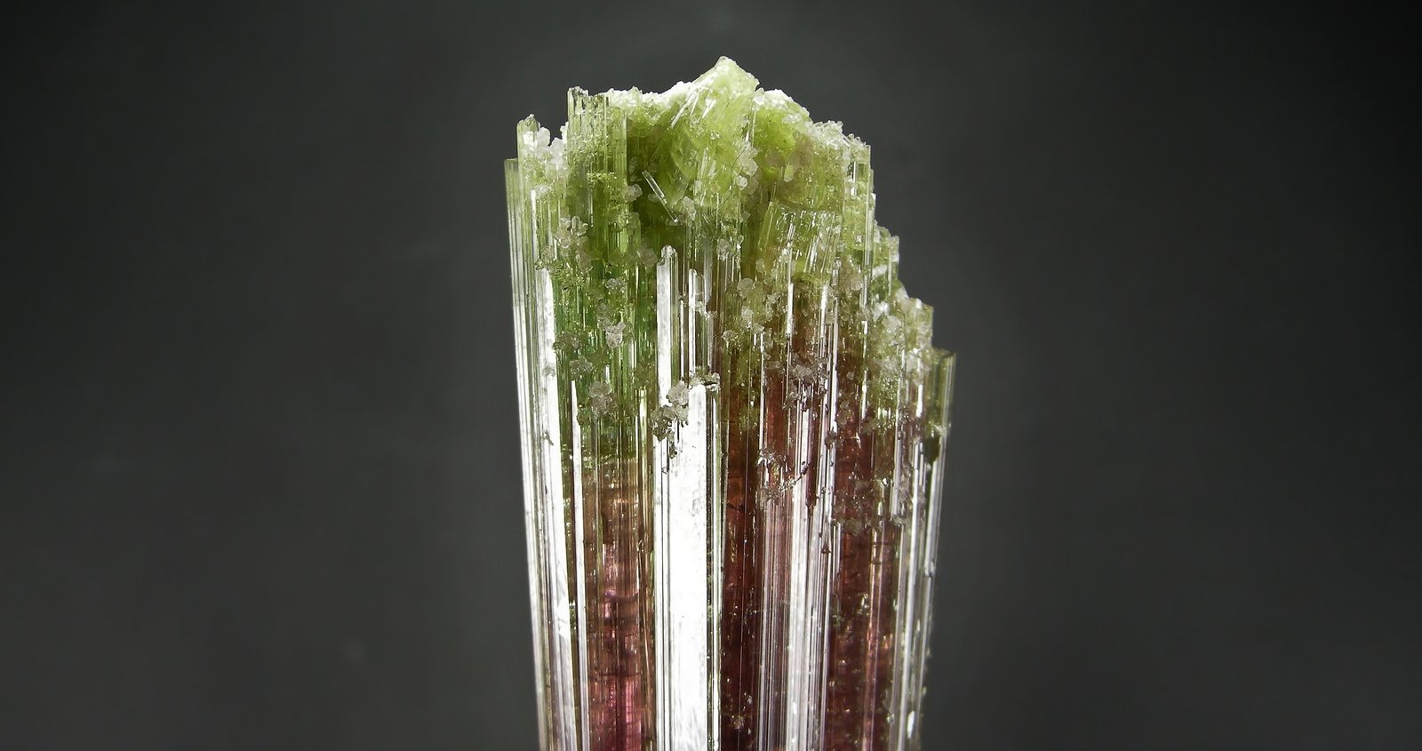 Elbaita
9.7 x 2.8 cm
(Autor: Diego Navarro)