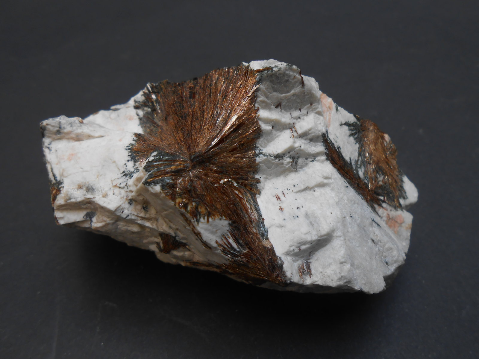 Astrofilita
8,5 x 4,5 x 4 cm
(Autor: Antonio Alcaide)
