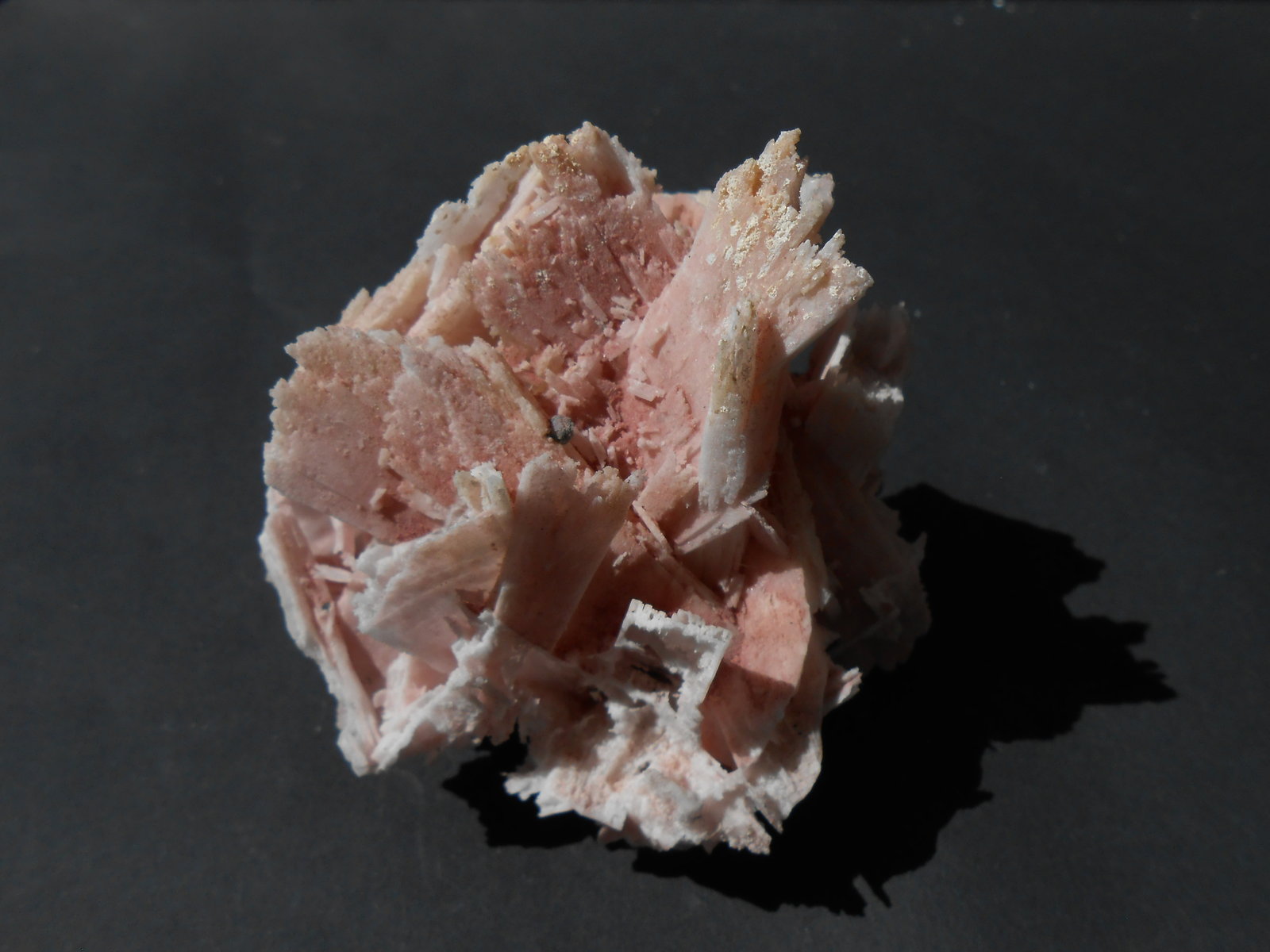 Cuarzo
8 x 7 x 5,5 cm
(Autor: Antonio Alcaide)