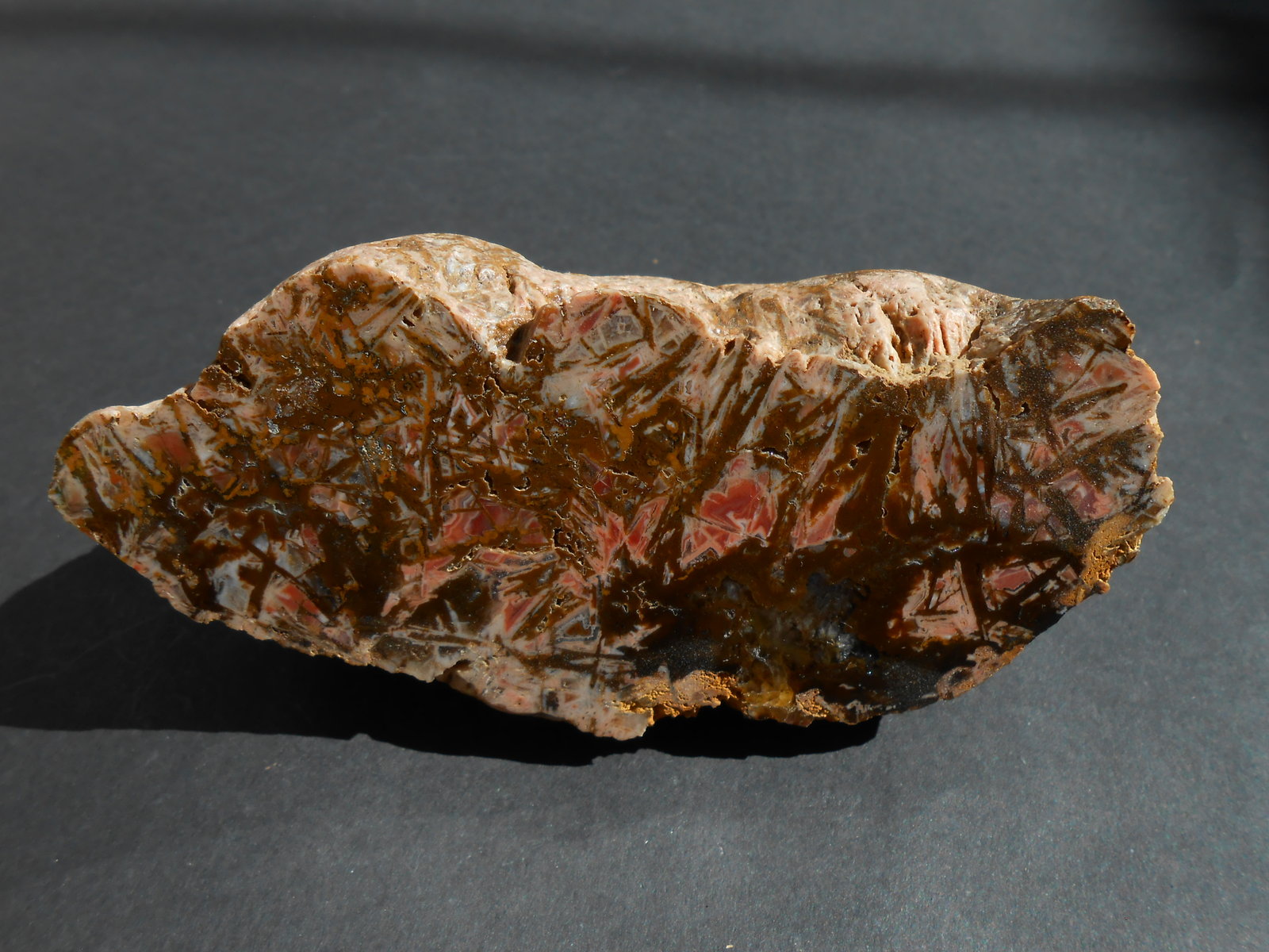 Cuarzo (variedad calcedonia ágata pseudomórfica tras Escolecita)
11 x 5 x 3,5 cm
(Autor: Antonio Alcaide)