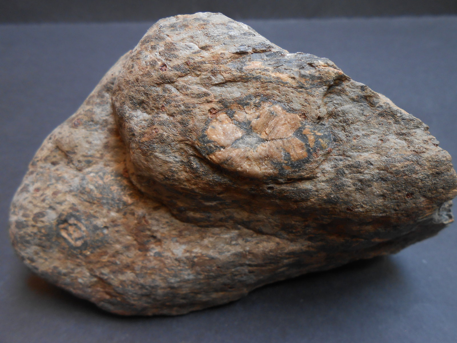 Cianita pseudomórfica de Andalucita
13 x 8 x 7 cm
(Autor: Antonio Alcaide)