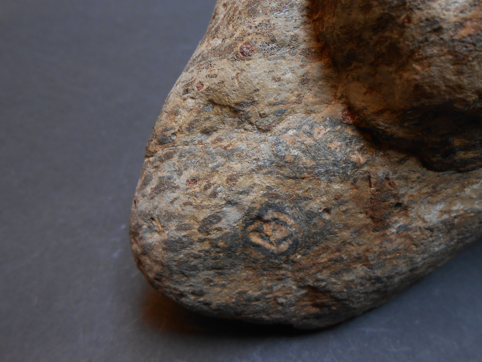 Cianita pseudomórfica de Andalucita
13 x 8 x 7 cm
(Autor: Antonio Alcaide)