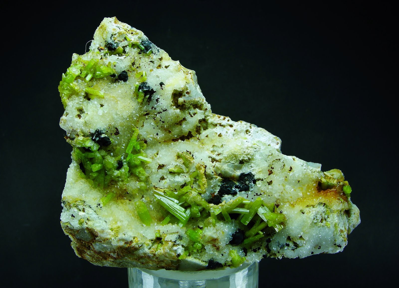 Piromorfita, óxidos de manganeso, Cuarzo
10 x 8 cm
(Autor: Diego Navarro)
