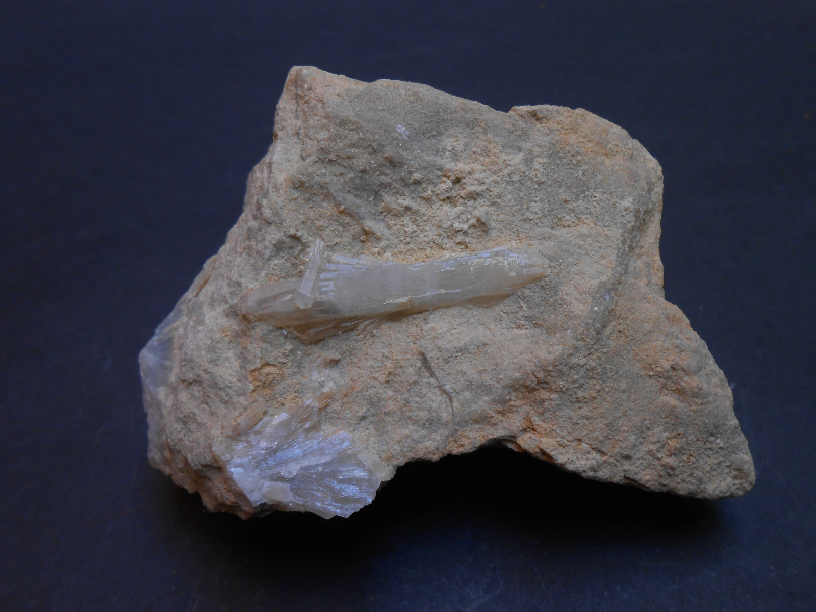 Celestina
7,5 x 5 x 4 cm
(Autor: Antonio Alcaide)