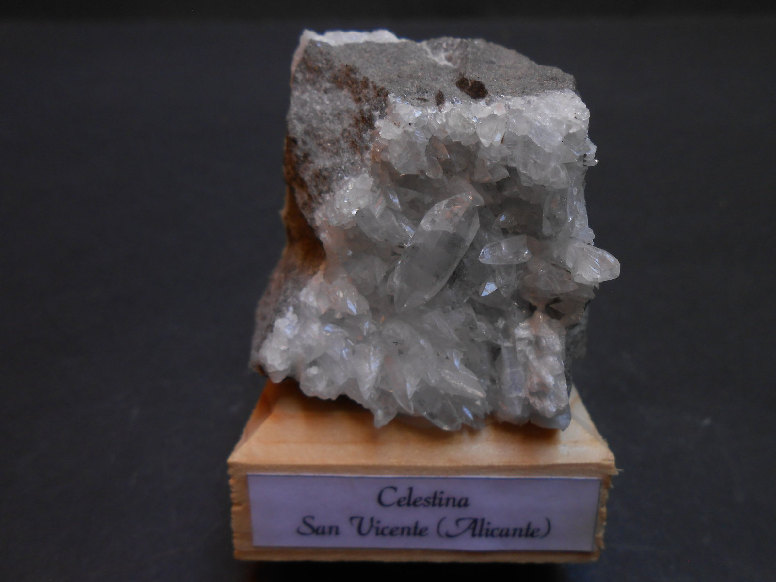 Celestina
4 x 4 x 3,5 cm
(Autor: Antonio Alcaide)