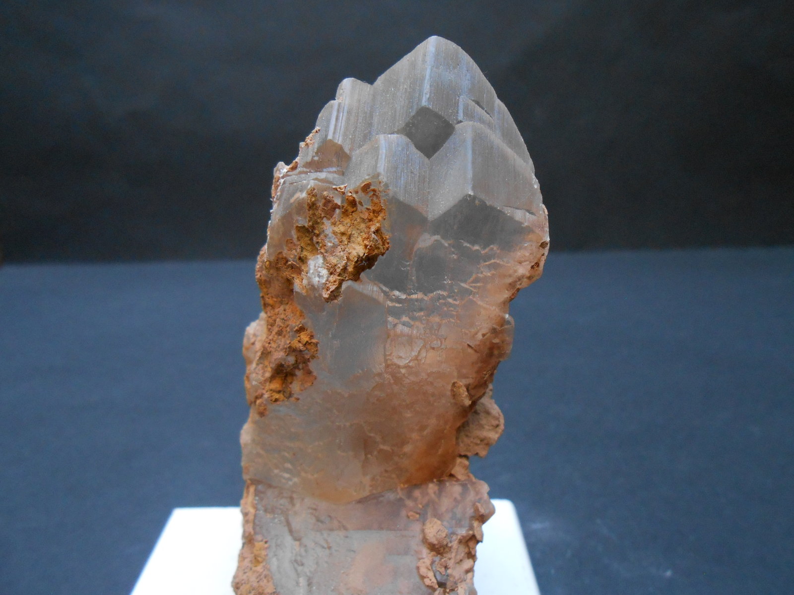 Yeso
9 x 4,5 x 3,5 cm
(Autor: Antonio Alcaide)