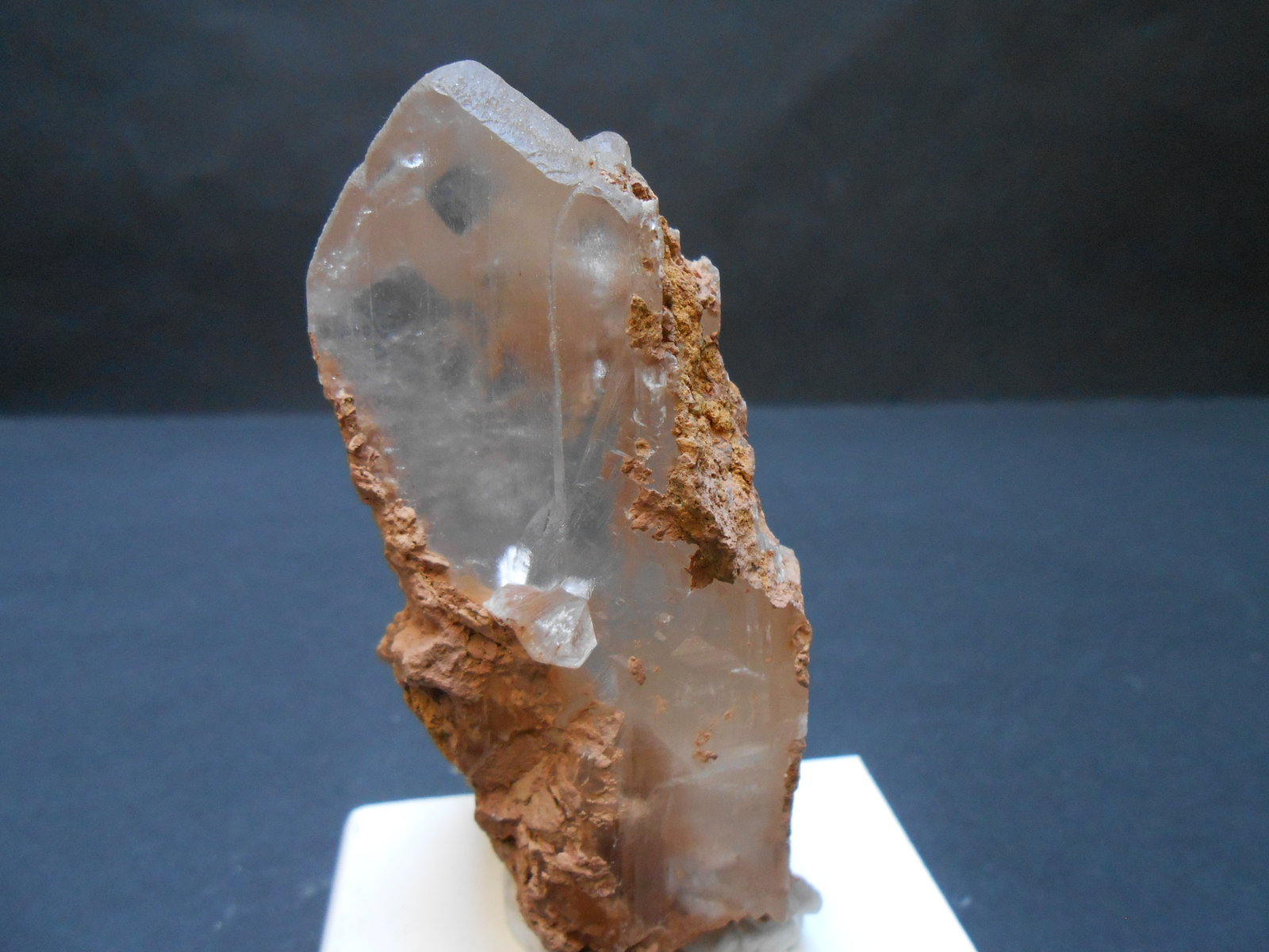 Yeso
9 x 4,5 x 3,5 cm
(Autor: Antonio Alcaide)