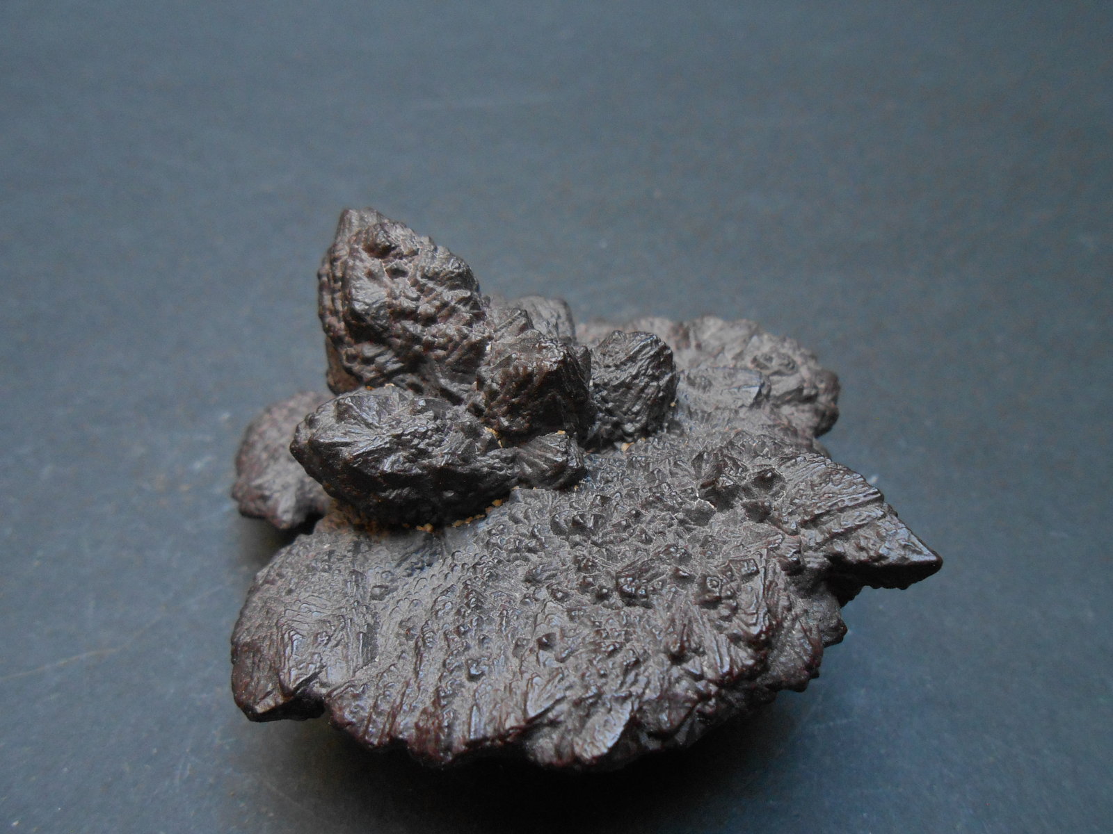 Goethita pseudomórfica de Marcasita
7 x 6 x 4 cm
(Autor: Antonio Alcaide)