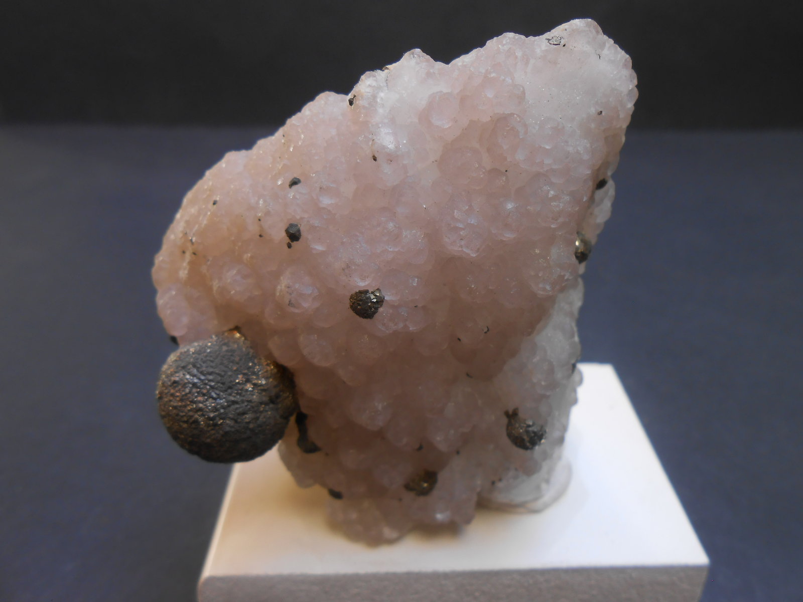 Pirita y Fluorita
7 x 6 x 3,5 cm
(Autor: Antonio Alcaide)