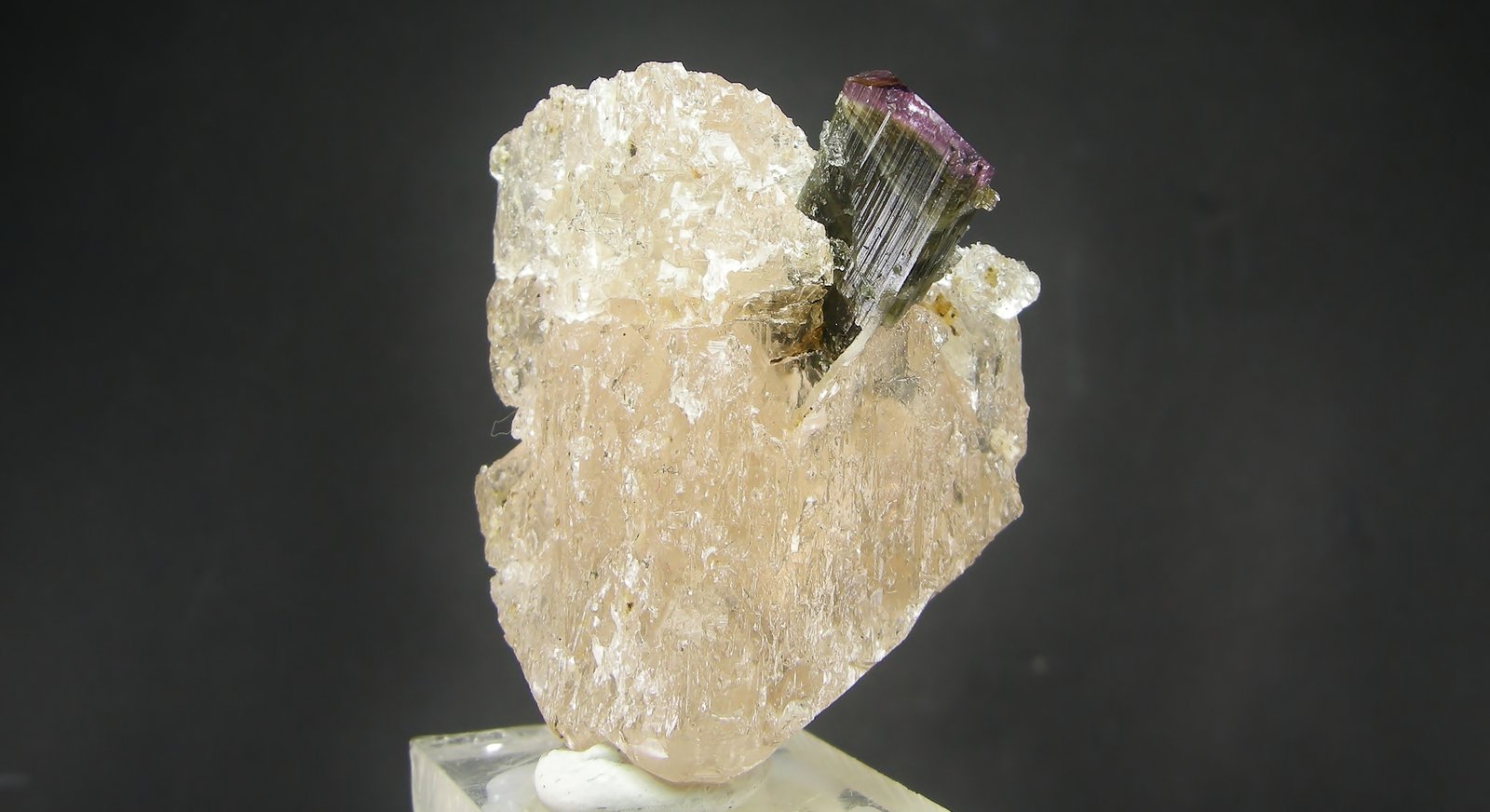 Elbaita, Topacio
5.3 x 4 cm
(Autor: Diego Navarro)